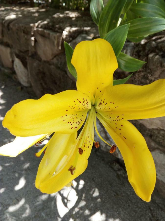 Cazorla Centro 아파트 외부 사진