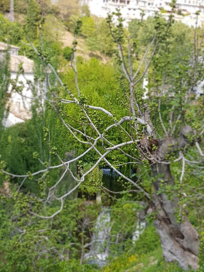 Cazorla Centro 아파트 외부 사진