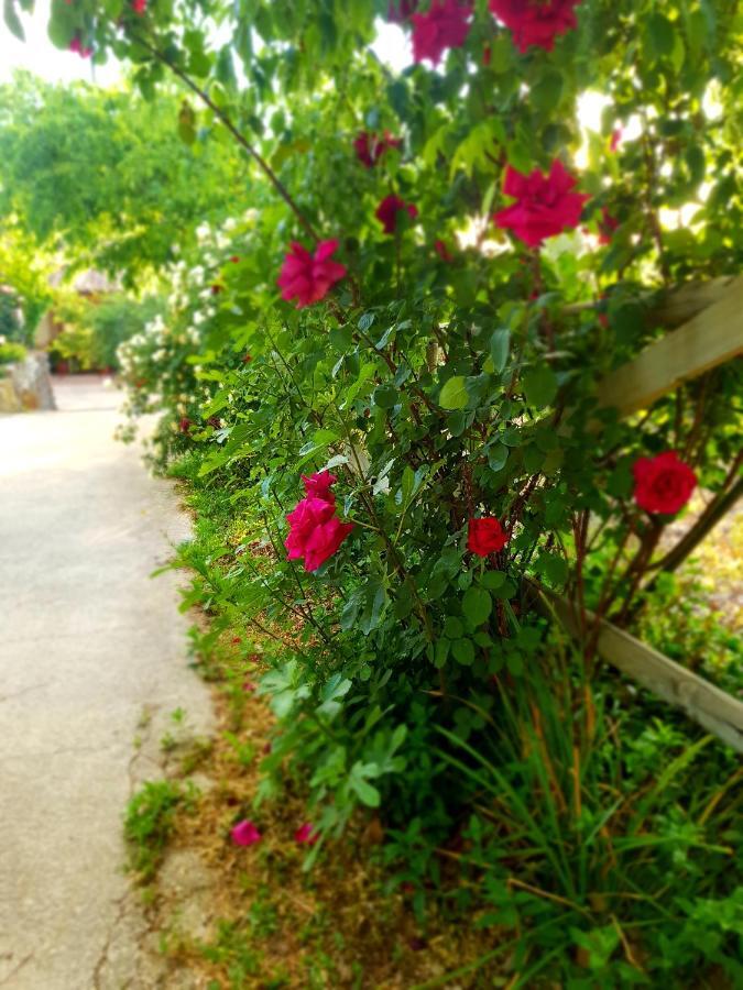 Cazorla Centro 아파트 외부 사진